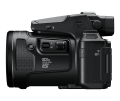P950_5.png