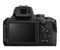 P950_2.png