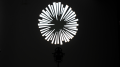 08_117967.png