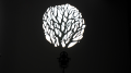 09_117967.png