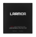 Larmor_1.jpeg