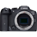 EOS-R7_1.webp