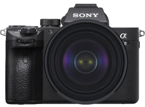 Sony A7 III + Tamron 25-200 + sony 20mm